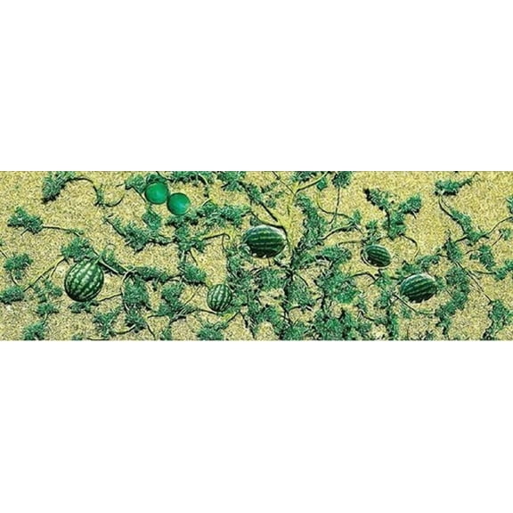 JTT Scenery Products - Watermelon Patch, 1-3/4" (6)