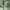 Green, variant on Hunyinhhh New Banana Leaf Long Hair Shape Hair Comb For Household Massage Women's Special Air Hair Brush For Curly Hair Hair Detangler Brush Y Brush Curly Hair Brush Hair Scrubber Detangler Brush
