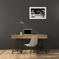 thumbnail image 3 of Kite, Barry 32x23 White Modern Wood Framed Museum Art Print Titled - Photo Op, 3 of 4