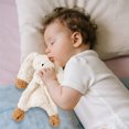 thumbnail image 4 of Early Education Toys for Kids Design Soft Fabric Educational Toy for Children Interactive Indoor Plaything for Development Ideal New Year, 4 of 4