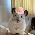 thumbnail image 4 of Adorable Hat for Small and Cats with Adjustable Strap Soft Breathable Outdoor, 4 of 5