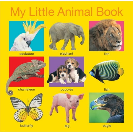 My Little Animal Book - Walmart.com