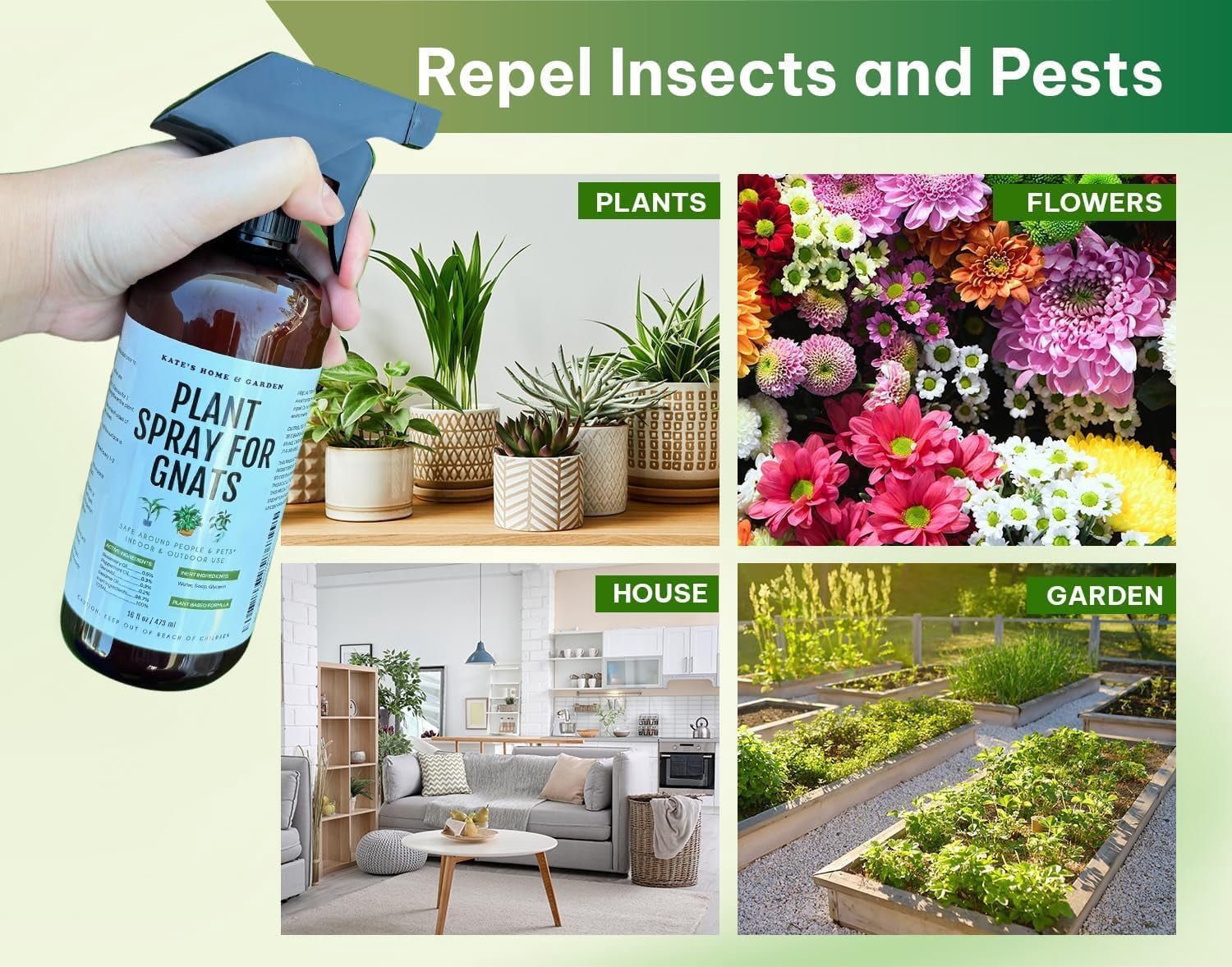 Plant Spray for Insects & Getting Rid of Gnats. Fungus Gnat Killer & Bug Spray for Indoor Plants (16oz, Pet Safe, Non Toxic)