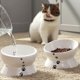 thumbnail image 2 of Cuenco para gatos antivómitos, cuencos elevados para comida para gatos, cuenco elevado inclinado para gatos, cuenco de cerámica para comida para perros pequeños, protege la columna vertebral de las m, 2 of 5