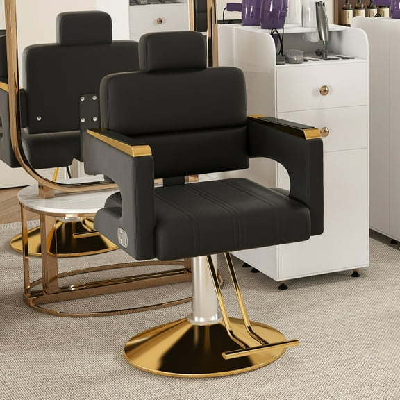 Professional Hydraulic Barber Chair (Black & Gold) - 360° Swivel, Adjustable Height, Reclining Backrest & Stainless Steel Armrests for Salon/Barber Shop