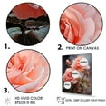 thumbnail image 3 of Designart "Alluring Pink Blossoms I" Roses Canvas Art Print, 3 of 7
