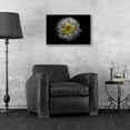thumbnail image 4 of Epic Art 'Backyard Flowers 46 Color Version' by Brian Carson, Acrylic Glass Wall Art, 24"x16", 4 of 8