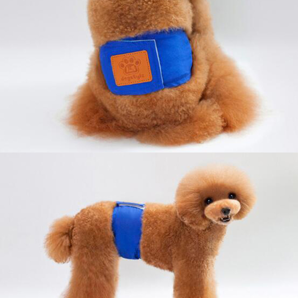 dog belly band walmart