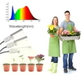 thumbnail image 2 of Led Grow Light Grow Lámpara para plantas de interior 30W Súper brillante 150 LED Irfora Tipo 2, 2 of 7