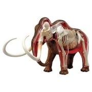 4D Wolly Mammoth Anatomy Model, by 4D Master