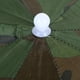 thumbnail image 5 of Paraguas plegable de 55 cm, sombrero para pesca y senderismo, gorro para acampar (camuflaje), 5 of 8