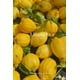 thumbnail image 2 of Aromatizante En Spray Para Ropa Y Textiles B.KIND & BEYOND 250 Ml Limetta, 2 of 6