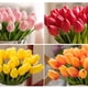thumbnail image 5 of Flores artificiales decorativas Bewildely 10 piezas adorno Rosa, 5 of 6