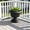 Dark Gray, variant on Garden Planter Urns,12×10 Inch Plastic European-Style Vintage Planter,Decorative Planters For Outdoor Plants,Vintage Tower-Style Hydroponic Planter.（Dark Gray）