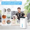 thumbnail image 6 of Dehumidifier for Home, 85 OZ Water , (800sq.ft) Small Dehumidifiers for Bathroom Bedroom Basement with Drain Hose, Auto Shut Off, 3 Gear Timer, Sleep Mode, 7 Colors LED Light, 6 of 6