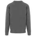 thumbnail image 2 of AWDis Just Hoods Mens Graduate Heavyweight Sweatshirt, 2 of 4