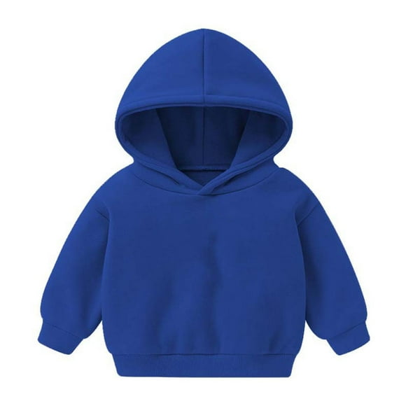 Toddler Baby Pullover Hoodies, Kids Fleece Long Sleeve Hooded Sweatshirts, Fall Winter Warm Hoodie Blue 3-4T