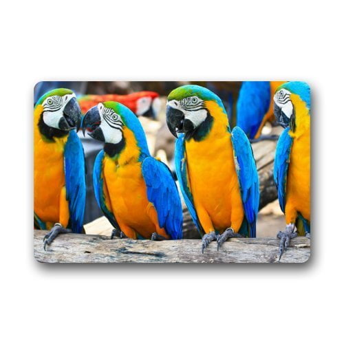 Details about   3D Colorful Parrot G257 Animal Non Slip Rug Mat Elegant Photo Carpet Wendy 