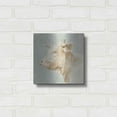 thumbnail image 3 of Luxe Metal Art 'Ferdinand I' by Emma Scarvey, Metal Wall Art, 12"x12", 3 of 9