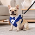 thumbnail image 3 of 2 Piece Set,Puppy Harness and Leash Set with Adjustable Fit,Breathable Mesh Dog Harness for Small Dogs Training,No-Pull Easy Walk,Cute Dog Birthday Gift Set, 3 of 4