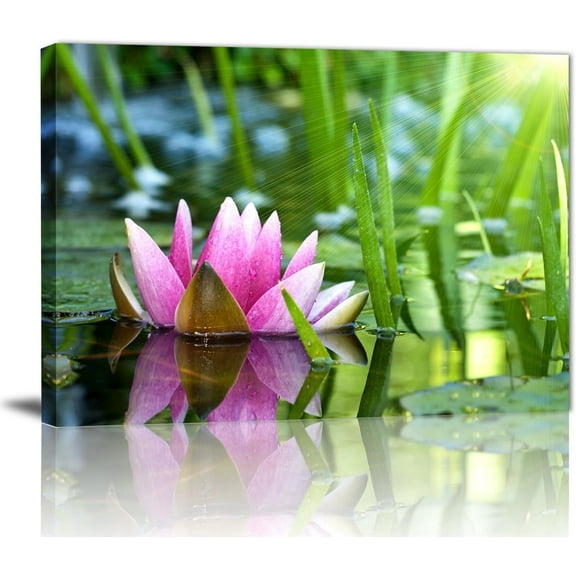 Zen Flower Canvas Wall Art Water Lilies in Full Bloom in the Sun Canvas Print Picture for Bathroom,Yoga Meditation Room,Living Room,Spa Room Decor