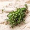 thumbnail image 6 of Proven Winners 4" Proven Selections Aromatic Thyme Thyme Live Herb Plant in 4.25" Pot (4 Count), 6 of 7