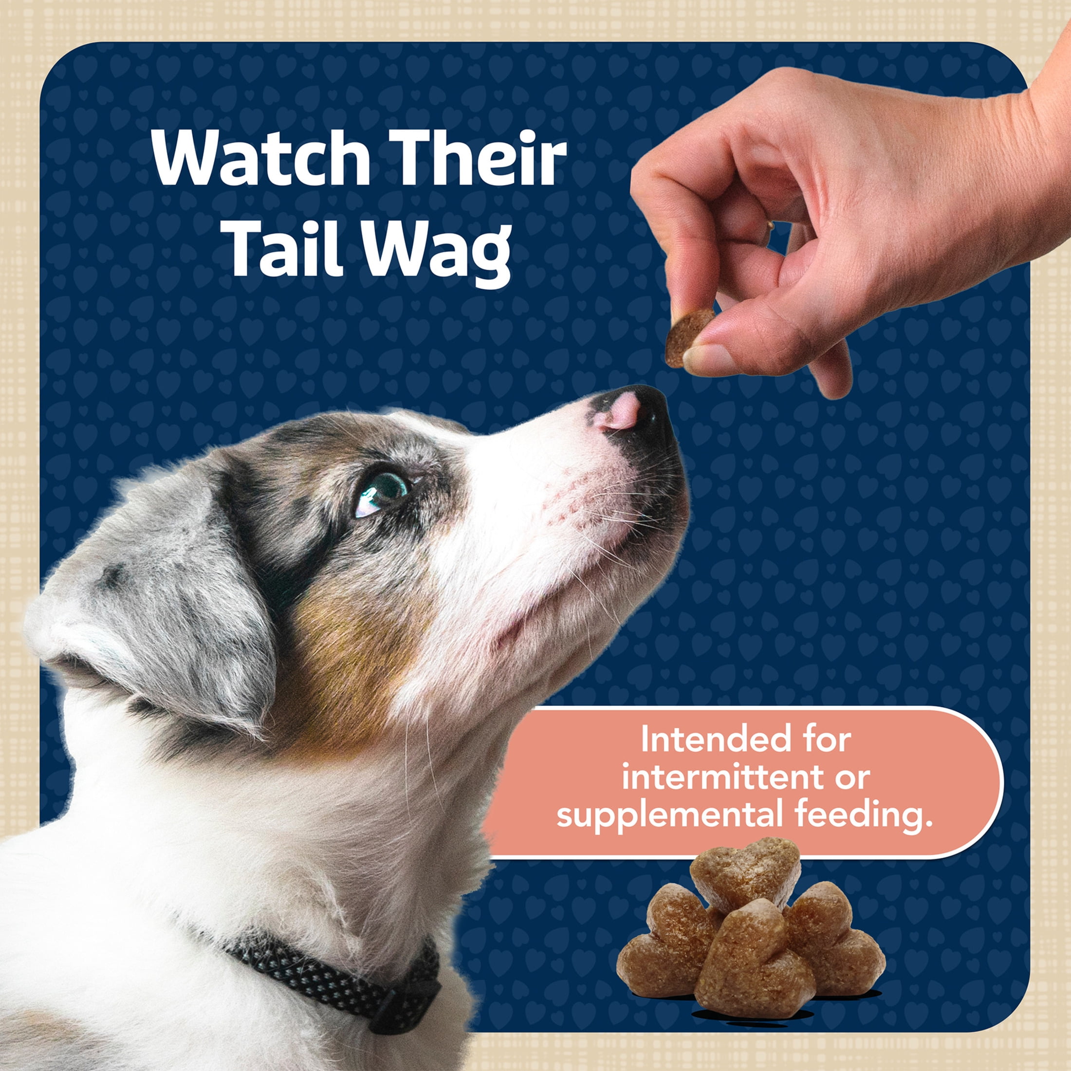 Blue Buffalo Bits Soft Dog Treats for Training, Enhanced with DHA, Salmon, 4-oz. Bag