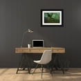 thumbnail image 3 of Vera, Urtzi 14x11 Black Ornate Wood Framed with Double Matting Museum Art Print Titled - Spring, 3 of 4