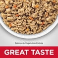 thumbnail image 6 of Hill's Science Diet Adult Sensitive Stomach & Skin Canned Dog Food, Salmon & Vegetable Entrée, 12.8 oz, 12 Pack wet dog food, 6 of 9