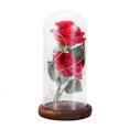 thumbnail image 3 of Luz LED de flor de rosa preservada con cubierta de vidrio y base de madera Boda de San Valentín Marrón, 3 of 8