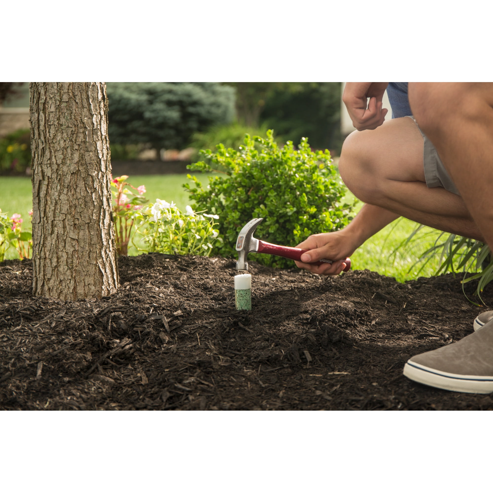 Miracle Gro Tree Shrub Fertilizer Spikes 3 Lbs 12 Pack