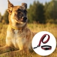 thumbnail image 3 of Collares y correas para perros - Collares y correas para perros MFZFUKR CPB-US-YY497-2, 3 of 5
