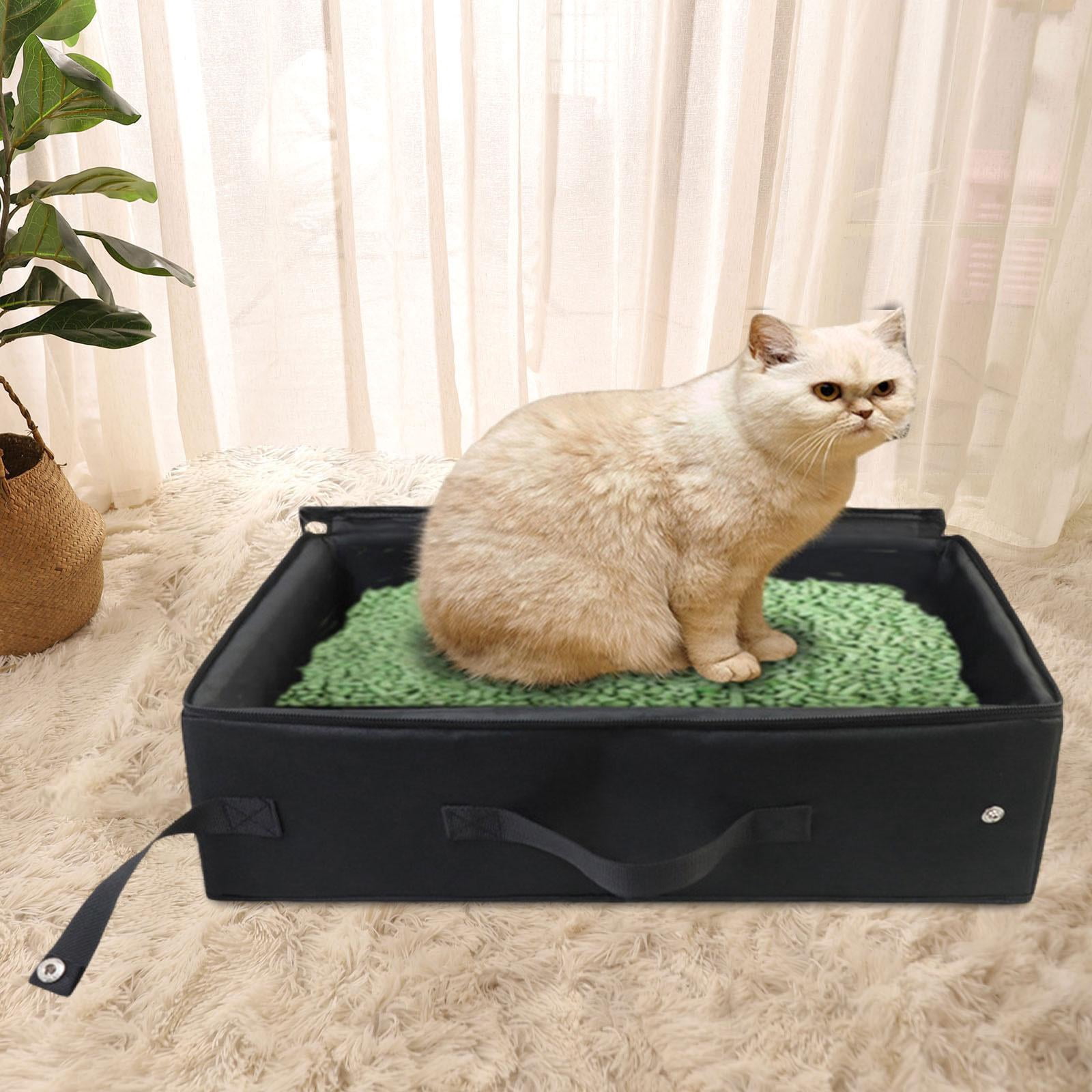 Fzaqwen Cat Litter Box, Litter Box, Litter Box, Litter Box for Short Trips, Cat Training