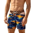 thumbnail image 3 of Mens Board Shorts 3d Graphic Leopard Fake Briefs Humor Swim Trunks Hawaii Beach Shorts Boardshorts Gag Gift, 3 of 3