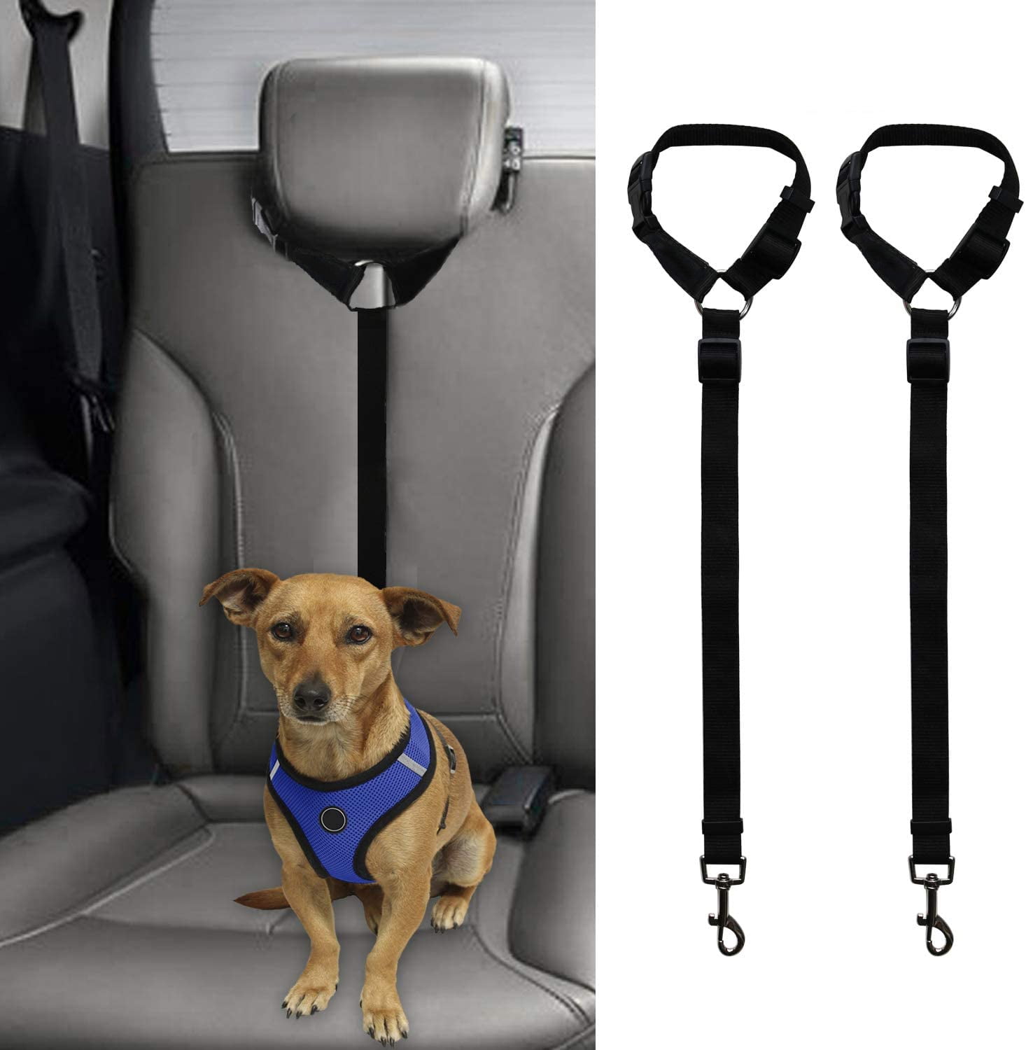 car straps for dogs