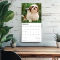 thumbnail image 5 of Shih Tzu Puppies | 2026 12x24" (Hanging) Square Wall Calendar | Plastic-Free, 5 of 9