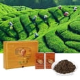 thumbnail image 2 of Dragon Well Tea, Tender Shoot Longjing Tea Orgánico Para Regalos ANGGREK JI3118, 2 of 8