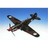 Daron Worldwide Trading A0532 P-40E Warhawk 1/32 AIRCRAFT