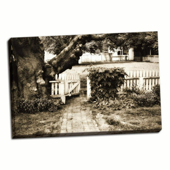 Gango Home Decor Grandfather Tree Sepia II by Alan Hausenflock (Ready to Hang); One 36x24in Hand-Stretched Canvas