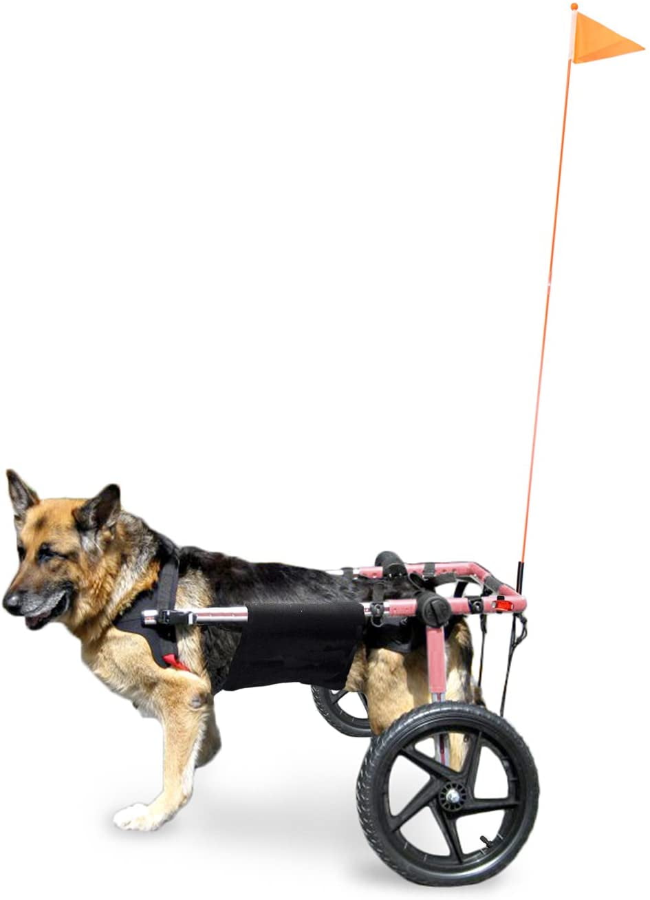 Walkin' Wheels Elite Dog Wheelchair for Large Dogs 70180 Pounds