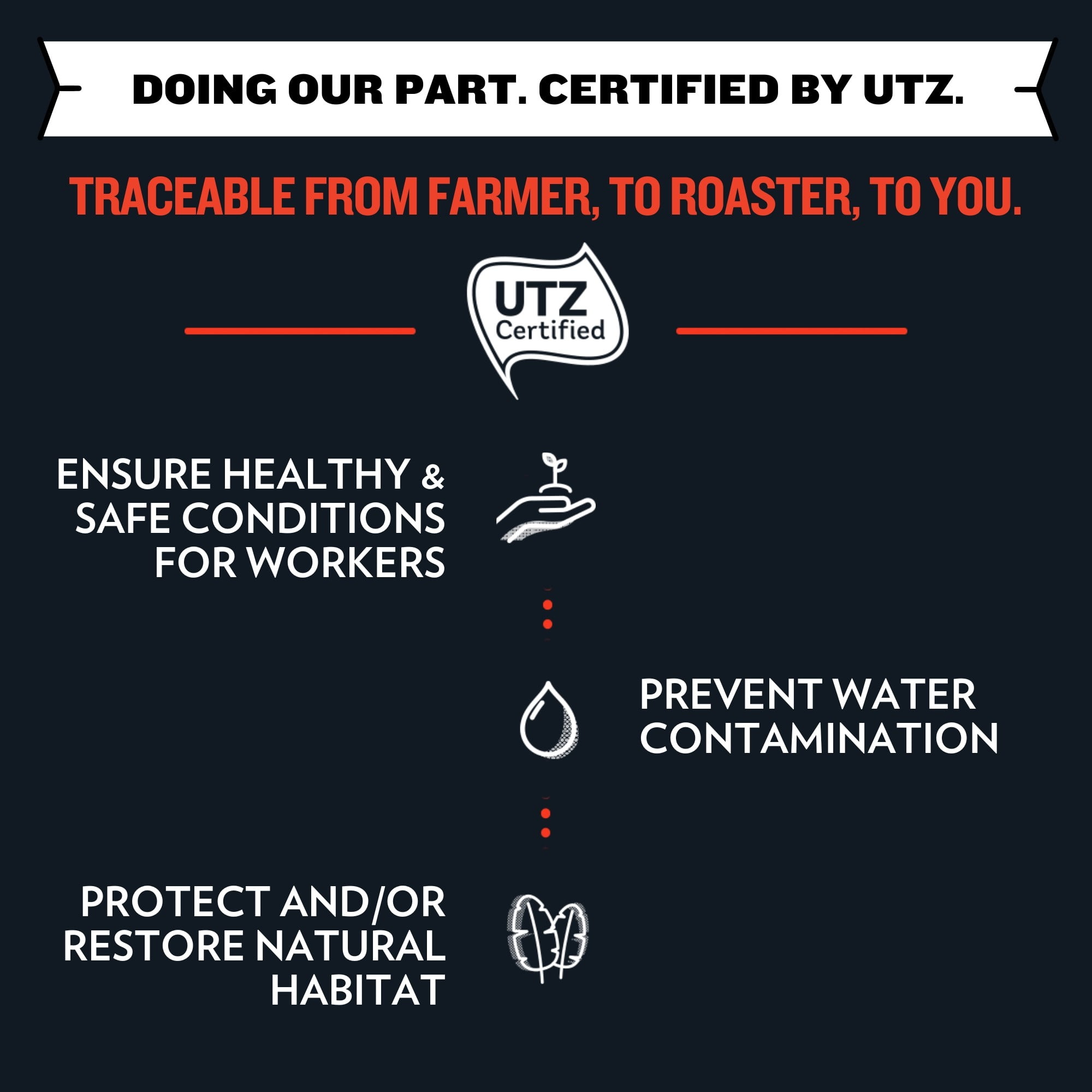 SToK Café infusé à froid, noir, juste assez sucré 1.42 L