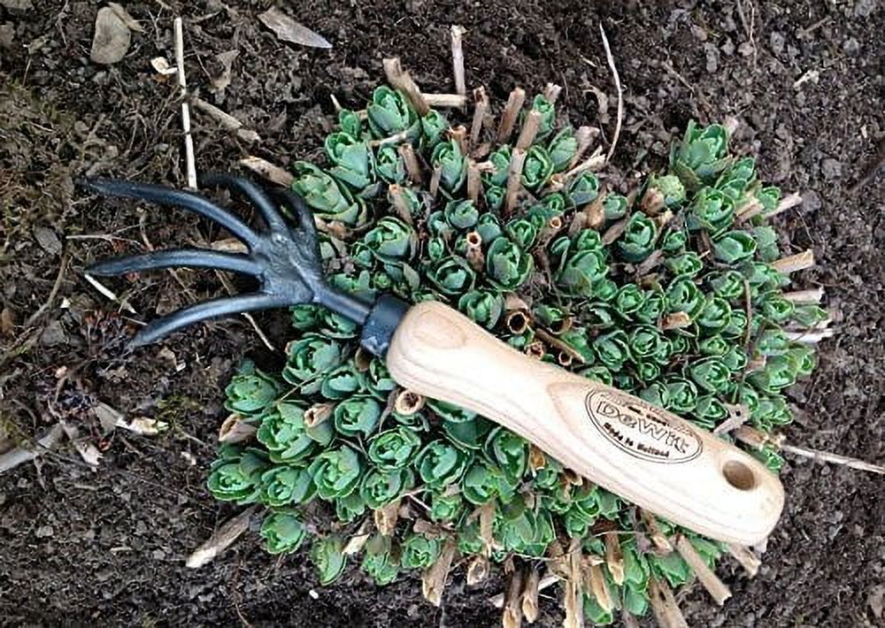 DeWit Cultivator - Claw
