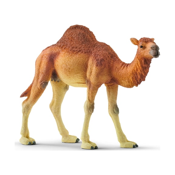 Schleich Wild Life Realistic Dromedary Camel Toy