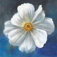 thumbnail image 3 of Nai, Danhui 12x12 Black Modern Framed Museum Art Print Titled - Boldest Bloom I, 3 of 5