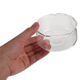 thumbnail image 3 of Transparent Glass Pot For Hydroponic Plants Clear Glass Vase For Lotus Decorative Flowerpot For Office Small Planter For Indoor Plants, 3 of 9