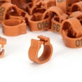 thumbnail image 3 of 8mm Bird Leg Bands, 001 to 100 Numbered Poultry Identify Rings, Reusable Bird Leg Accessory for Birds Pigeons, 3 of 8