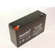 PowerStar AGM612-27 6V&44; 12Ah F1 UPS Batterie pour Panasonic LCR6V10BP – image 1 sur 1