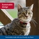 thumbnail image 3 of Collar para gatos Coastal Pet New Earth, color rosa ajustable con soja, 3 of 7