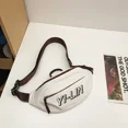 thumbnail image 2 of Riñoneras clásicas de nailon con cremallera para mujer, bolsos elegantes e informales de alta calidad para jóvenes, 2024, 2 of 5