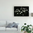 thumbnail image 3 of Trademark Fine Art 'Shasta Daisies' Canvas Art by Kurt Shaffer, 3 of 4